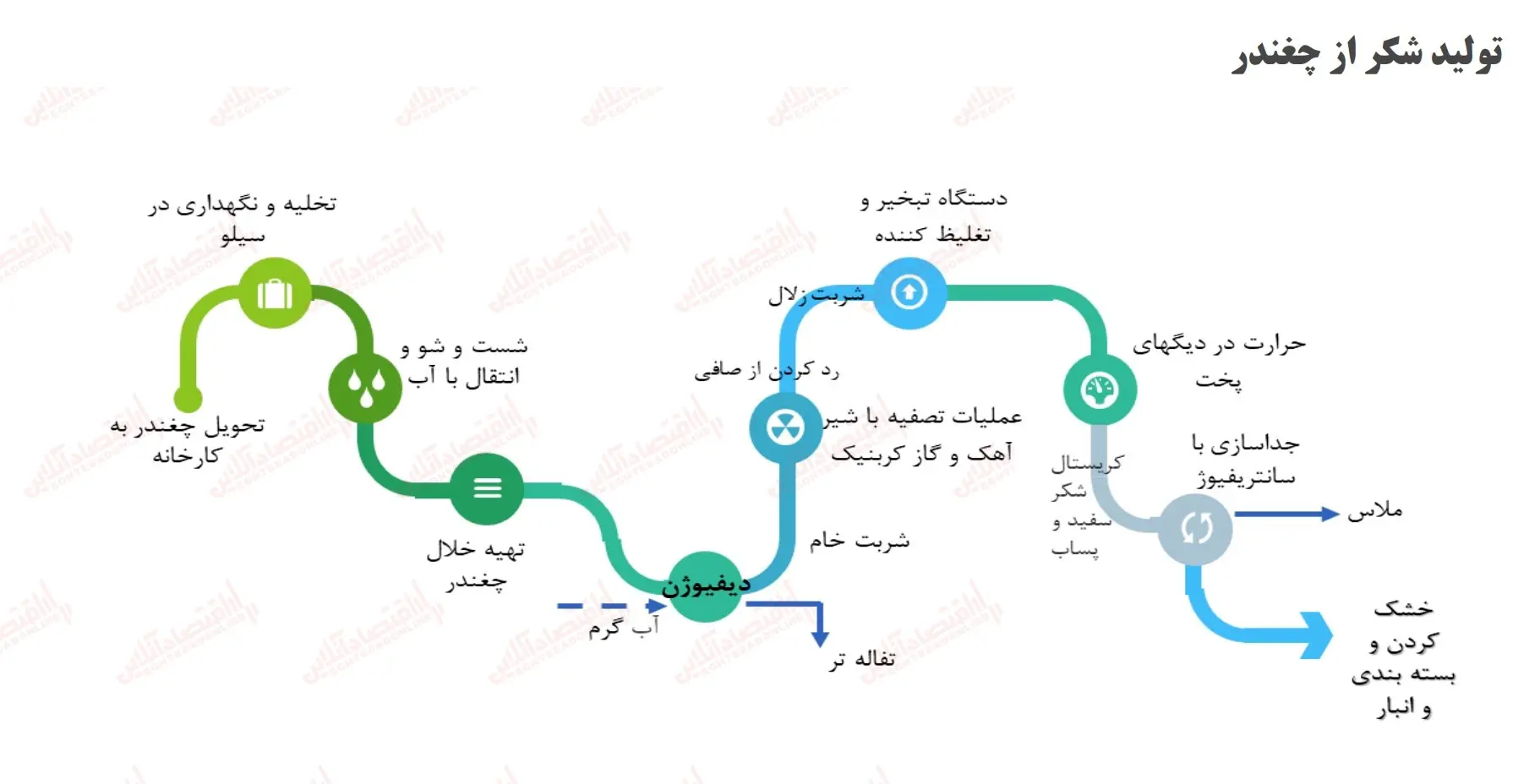 تولید شکر از چغندر