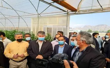 وزیر جهاد کشاورزی از شرکت کشت و صنعت مزرعه سبز خرم بازدید کرد
