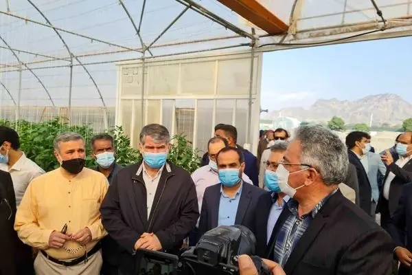 نگاهی به درخشش «سیدکو» در صنعت سیمان