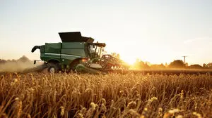 رفع ابهامات طرح امنیت غذایی کشور 