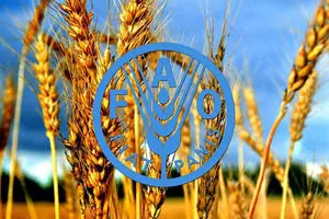 زنگ هشدار امنیت غذایی در جهان/گرانی شدید  مواد غذایی