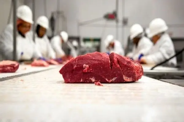 اختصاص۱۰۰درصد گوشت‌های وارداتی به تهران/ بیداد گرانی و کمبود گوشت