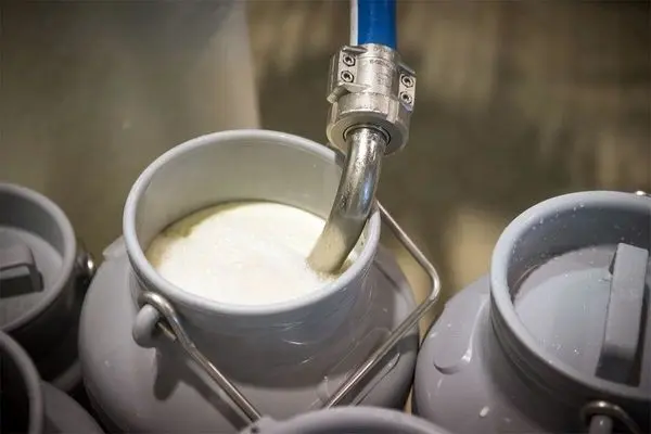 اعلام میزان دپوی شیرخشک در کارخانجات