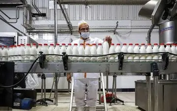 افزایش ۶۰درصدی هزینه‌های تولید شیر