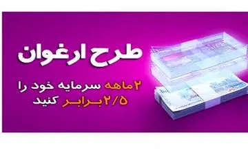 حمایت ارغوانی از کسب و کارهای خرد