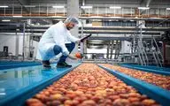 صنعت غذا، چرخ سوم امنیت ملی/برای دفاع همه جانبه از امنیت کشور، باید تقویت شود
