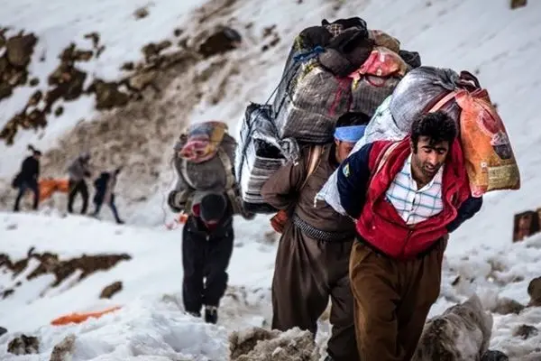 نوسان ۱۰درصدی قیمت جوجه یک‌ روزه