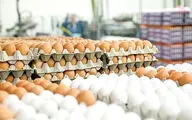 تبدیل تولیدکنندگان تخم‌مرغ به بازرگان با آئین نامه رفع تعهد ارزی