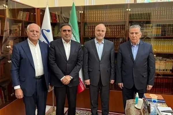 رییس مجلس: ابلاغ قانون حجاب متوقف شد