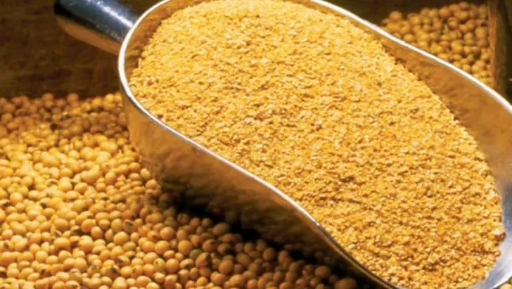 ورود قوه قضائیه به فرآیند توزیع و فروش نهادههای دامی