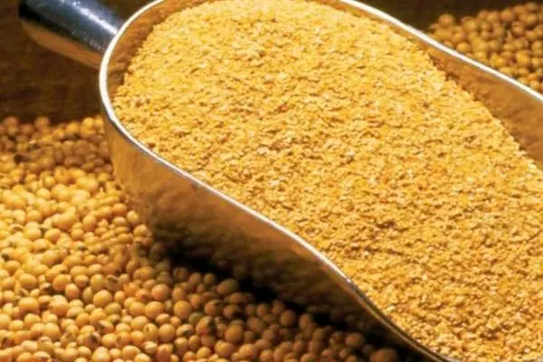 ورود قوه قضائیه به فرآیند توزیع و فروش نهاده‌های دامی