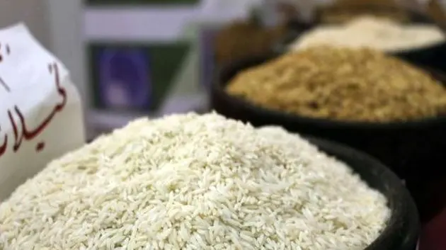 افزایش قیمت برنج در بازارهای جهانی ادامه دارد؟