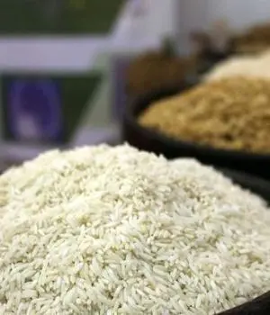 آغاز واردات گسترده برنج/تامین ارز کالاهای اساسی