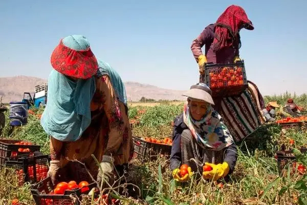 استفاده از خشونت علیه زنان و دختران به عنوان سلاح جنگی