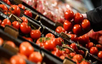 ابلاغ کاهش عوارض صادراتی گوجه فرنگی
