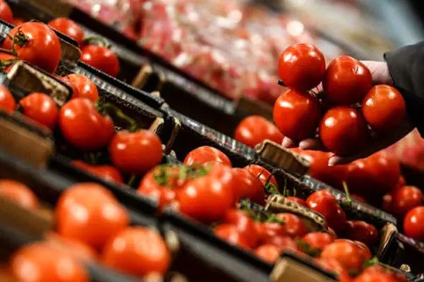 گرانی سرسام‌آور گوجه‌فرنگی/ کمبود عرضه قیمت‌ها را نجومی کرد؟