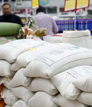 افزایش تصاعدی قیمت برنج پس از حذف ارز ترجیحی 