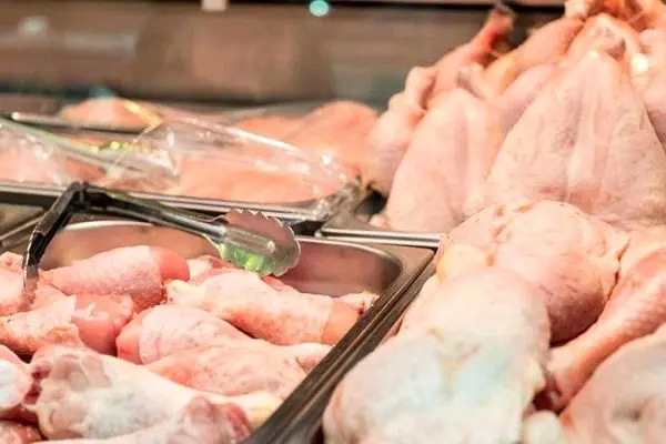 قیمت مصوب مرغ همچنان ۷۸ تا ۸۰ هزار تومان است