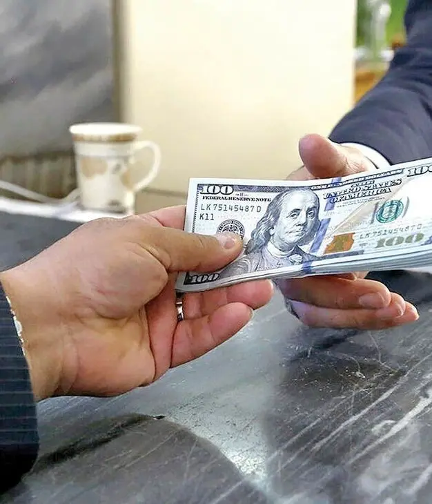 نظام چندنرخی ارز و ضرورت اصلاحات در سیاست‌های ارزی/ دولت چگونه پیامدهای حذف ارز ترجیحی را مدیریت کند؟