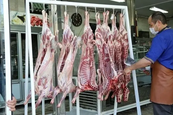 اعلام قیمت دام سنگین/ فروش گوشت قرمز بالای 570هزار تومان