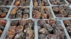 اعلام قیمت رسمی خرما برای ماه رمضان