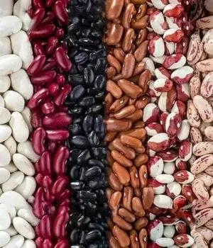 تصمیم جدید دولت برای ساماندهی بازار حبوبات