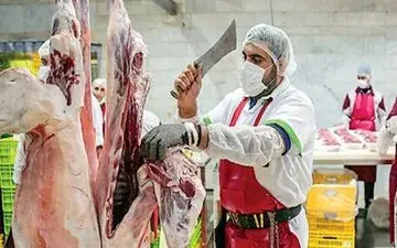 گوشت میلیونی در فروشگاه‌ها/اختلاف شدید قیمت دام زنده با گوشت