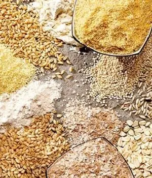 خطر تحریم در کمین واردکنندگان نهاده‌های دامی