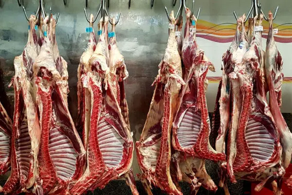 روایتی از توزیع گوشت قرمز وارداتی