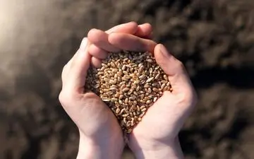 ابلاغیه جدید دولت درباره امنیت غذایی کشور