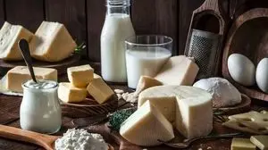 افزایش ۴۳درصدی صادرات لبنیات +نمودار