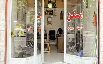 رشد قارچ گونه مشاوران املاک در کشور