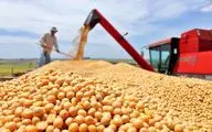 شناسایی مقصر گرانی گوشت مرغ