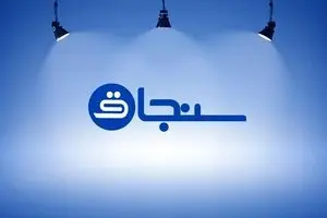 رقم درآمد سنجاق برای متخصصین