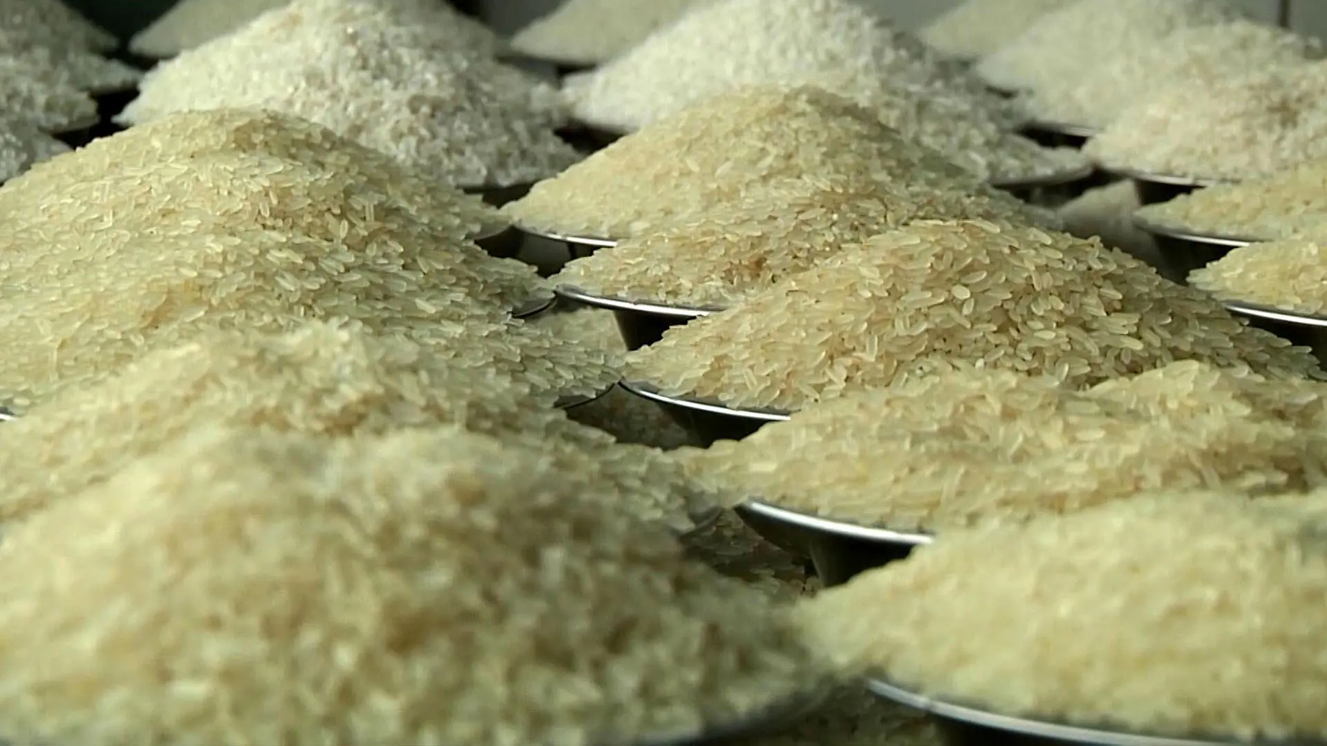 تورم ۲۰۰درصدی برنج در یکسال