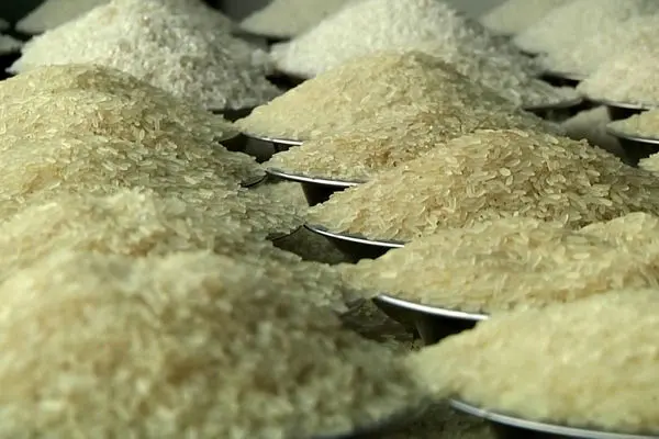 جلسه مهم در میرداماد/تصمیم جدید بانک مرکزی برای بازار ارز