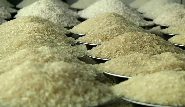 افزایش ۲۰۱۸ درصدی قیمت برنج ایرانی/سفره‌های کارگران آب رفت