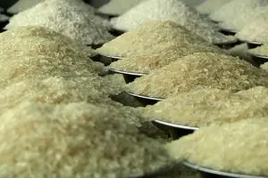 افزایش ۲۰۱۸ درصدی قیمت برنج ایرانی/سفره‌های کارگران آب رفت