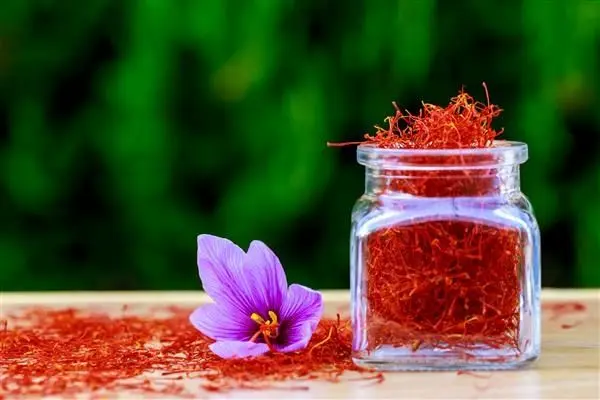 تولید زعفران در کشور به یک چهارم ظرفیت‌های مزارع رسید