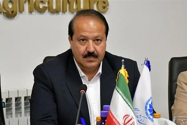 تجربه جنگ 12 روزه و اثبات نقش بخش خصوصی