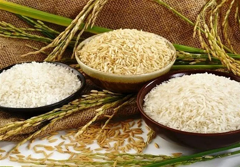 وضعیت پیچیده بازار جهانی برنج/بازگشت قیمت برنج به نرخ‌های سال ۲۰۲۲