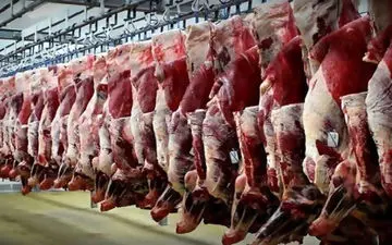 وعده کنترل قاچاق گوشت از سوی شورای تامین کنندگان دام 