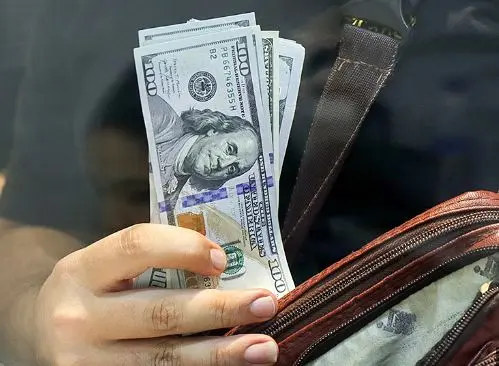قیمت جدید دلار در بازار آزاد/یورو۸۳۰تومان گران شد
