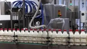 سهم ناچیز ایران از بازار جهانی لبنیات 