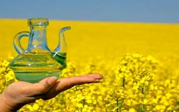 خبر خوش برای بازار روغن/ قیمت روغن کاهشی می‌شود؟