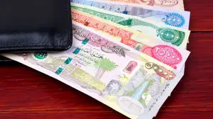 عرضه سنگین ارز به این گروه از متقاضیان