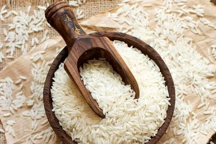 کاهش قیمت برنج ایرانی/ جدیدترین محصول شالیزارها چند؟ 
