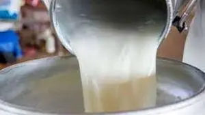 گرانی ۳۰درصدی محصولات لبنی