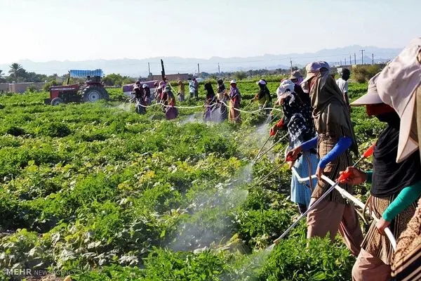 دانش بنیانی‌ها چقدر وام گرفتند؟