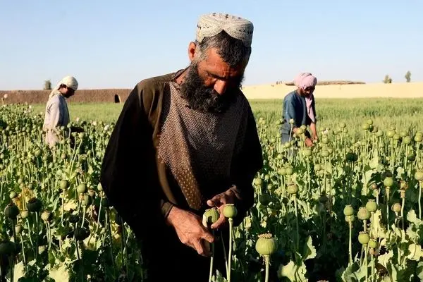 گزارش‌های تکان‌دهنده از وضعیت کادر درمان در افغانستان/ طالبان نظام سلامت  را به آستانه فروپاشی کشانده